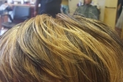 20160415_165450-360x640