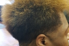 20170311_081225-360x640