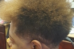 20170311_081519-360x640