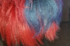 20180916_180545-389x800