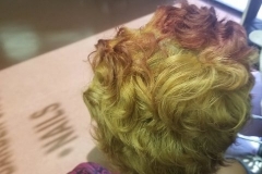 20190214_155347-480x640