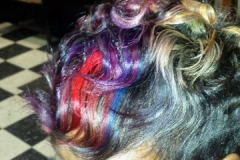 20141119_182309-360x640