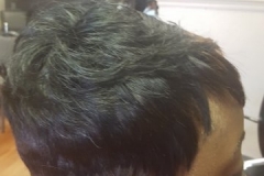 20160617_185909-360x640