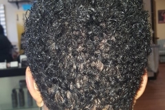 20160929_140347-480x640-Copy