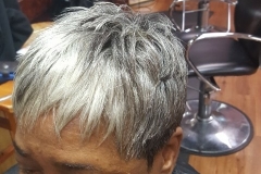 20161007_195907-480x640-Copy