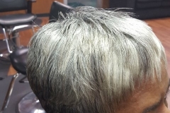 20161007_195920-480x640-Copy