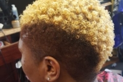 20180407_163806-360x640-Copy