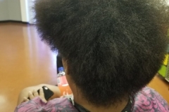 20190710_111208-600x800