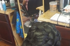 20160707_160756-360x640